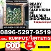 Penjual Rumput Sintetis Cililin.jpg