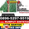 Agen Rumput Sintetis Lolofitu Moi.jpg