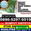 Pusat Rumput Sintetis Dongko.jpg