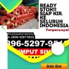 Supplier Rumput Plastik Rimba Melintang.jpg