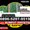 Toko Rumput Imitasi Medan Denai.jpg