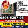 Distributor Rumput Sintetis Bambang Lipuro.jpg