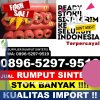 Supplier Rumput Imitasi Vii Koto Ilir.jpg