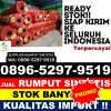 Supplier Rumput Plastik Sabbang.jpg