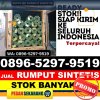 Distributor Rumput Sintetis Bangkala.jpg