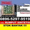 Penjual Rumput Sintetis Ciwidey.jpg