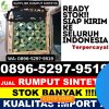 Distributor Rumput Sintetis Banjarwangi.jpg