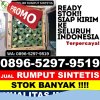 Jual Rumput Imitasi Batahan.jpg