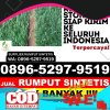 Toko Rumput Imitasi Mojo.jpg