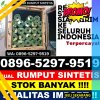 Distributor Rumput Sintetis Barabai.jpg