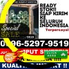 Jual Rumput Imitasi Bathin Iii.jpg