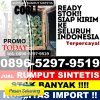 Distributor Rumput Sintetis Batang Anai.jpg