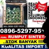 Supplier Rumput Palsu Aek Songsongan.jpg