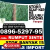 Agen Rumput Sintetis Maratua.jpg