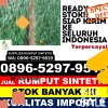 Toko Rumput Imitasi Muara Tembesi.jpg