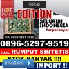 Distributor Rumput Sintetis Batipuh Selatan.jpg