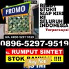 Jual Rumput Imitasi Belitang Ii.jpg