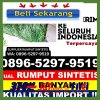 Penjual Rumput Sintetis Fanayama.jpg