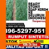 Agen Rumput Sintetis Medan Satria.jpg