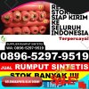 Supplier Rumput Plastik Semitau.jpg