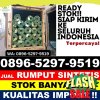 Jual Rumput Imitasi Bergas.jpg