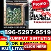 Distributor Rumput Sintetis Belopa.jpg