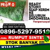 Penjual Rumput Sintetis Gane Timur Tengah.jpg