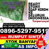 Pusat Rumput Sintetis Indralaya Utara.jpg