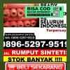 Supplier Rumput Plastik Serasan Timur.jpg