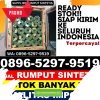 Jual Rumput Imitasi Biring Kanaya.jpg