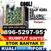 Distributor Rumput Sintetis Betara.jpg