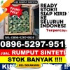 Jual Rumput Imitasi Bojongasih.jpg