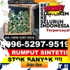 Distributor Rumput Sintetis Blahbatuh.jpg