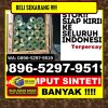 Supplier Rumput Palsu Balongpanggang.jpg