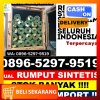 Jual Rumput Imitasi Bontoramba.jpg