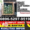 Distributor Rumput Sintetis Bojongpicung.jpg