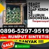 Supplier Rumput Palsu Bandungan.jpg