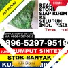 Toko Rumput Plastik Jaten.jpg