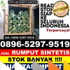 Jual Rumput Imitasi Buay Runjung.jpg