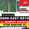 Agen Rumput Sintetis Mulyorejo.jpg