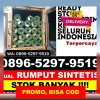 Distributor Rumput Sintetis Buduran.jpg