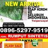 Penjual Rumput Sintetis Gunungsitoli Barat.jpg