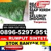 Pusat Rumput Sintetis Kabupaten Batang Hari.jpg