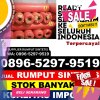 Supplier Rumput Plastik Sipispis.jpg