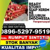 Agen Rumput Sintetis Ngebel.jpg