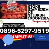 Jual Rumput Palsu Tungkal Ilir.jpg