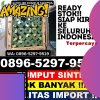 Distributor Rumput Sintetis Butuh.jpg