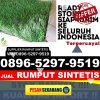 Penjual Rumput Sintetis Iv Nagari.jpg