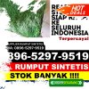 Pusat Rumput Sintetis Kabupaten Kepulauan Meranti.jpg