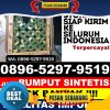 Supplier Rumput Palsu Bawang.jpg